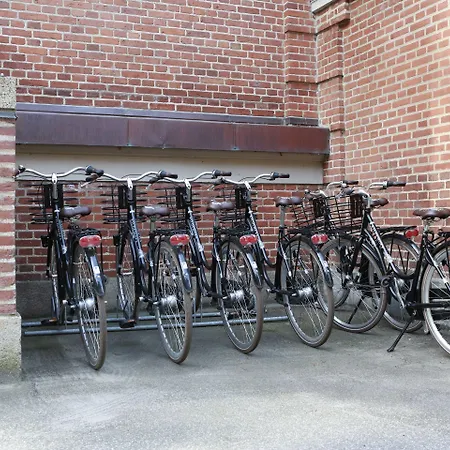 Hotel Koldingfjord 4*