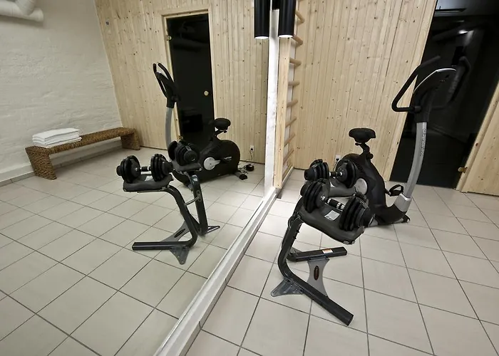 Отель Koldingfjord 4*